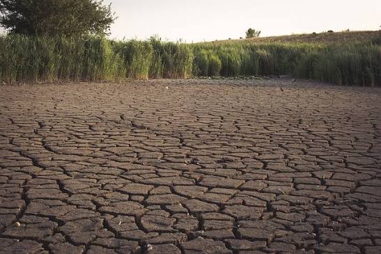 BMKG Peringatkan Lonjakan Karhutla Akibat El Niño Sangat Kuat Masih Berlangsung