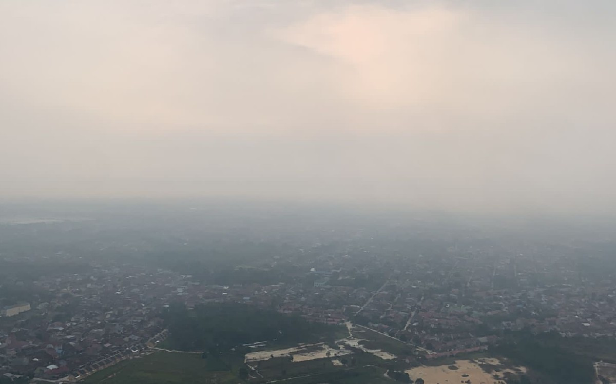 Pemerintah Diminta Tingkatkan Perlindungan untuk Balita Terdampak Karhutla