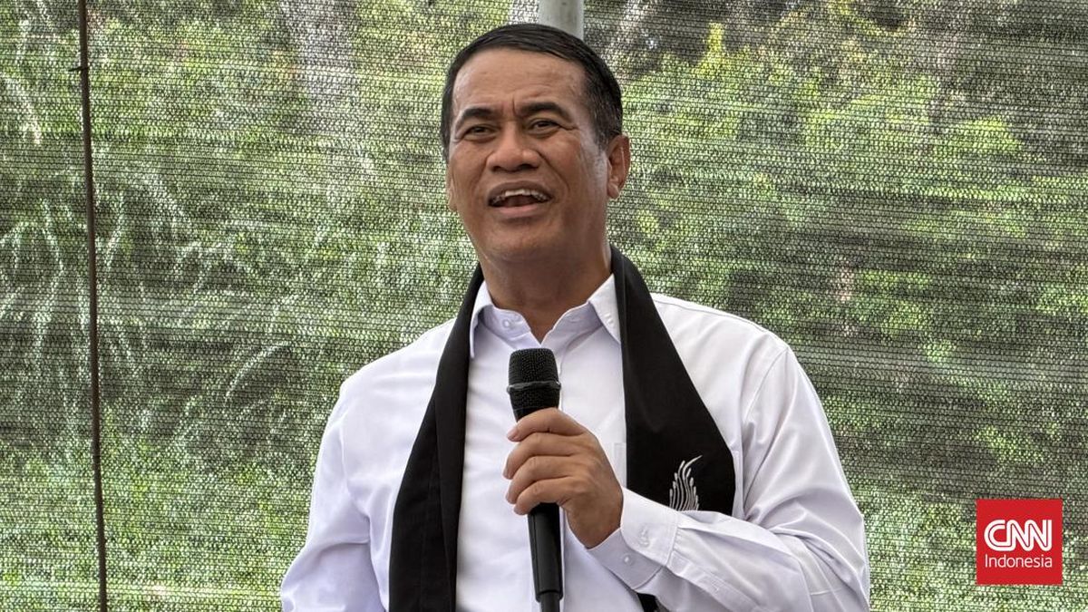 Menteri Pertanian Andi Amran Sulaiman menyoroti keuntungan hingga Rp2 triliun per bulan yang diduga diraup satu grup perusahaan penggilingan beras. (CNN Indonesia/Dela Naufalia Fitriyani)