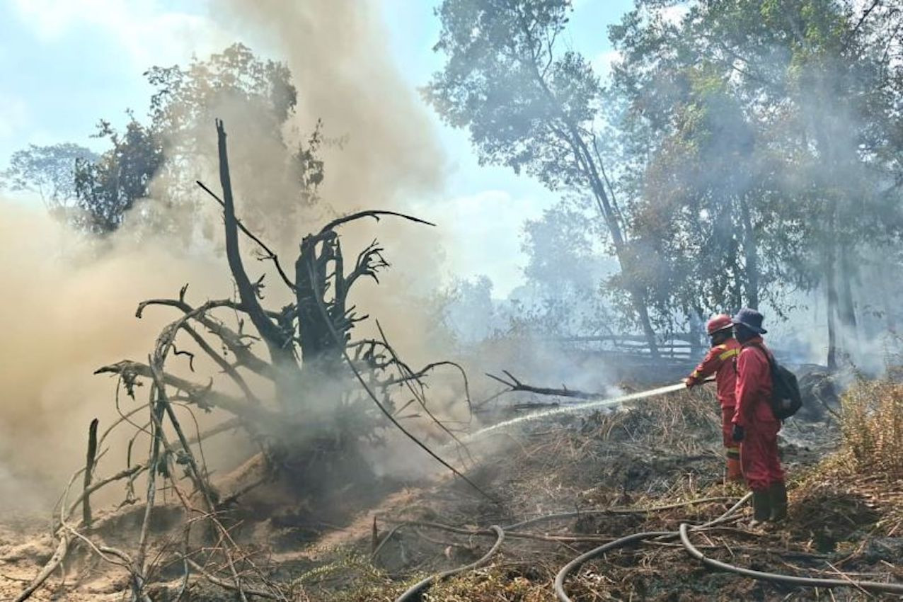 Pemadaman Kebakaran Hutan Kini Bergantung pada Operasi Darat