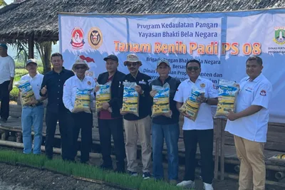 ---
Banten Laksanakan Penanaman Padi Unggul Seluas 1.500 Hektare untuk Ketahanan Pangan dan Pencegahan Stunting

---