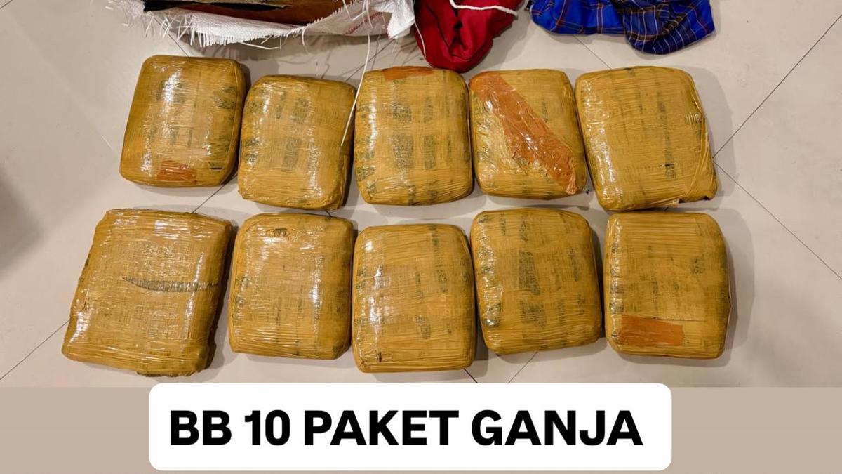 Pengungkapan Jaringan Pengiriman Ganja Antarpulau oleh Bareskrim