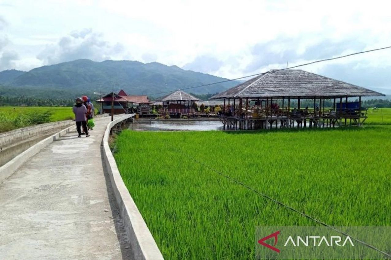 Pemkab Solok Tegaskan Perlindungan Lahan Pertanian Melalui Perda LP2B