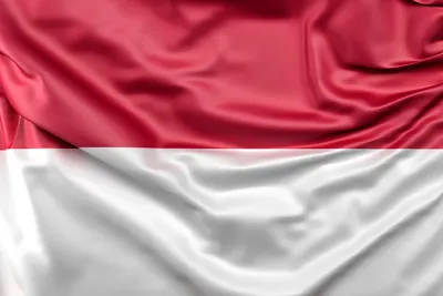 Diplomasi Indonesia di Jepang Memperkuat Peran dalam Rantai Pasok Global