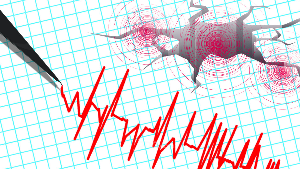 Gempa Magnitudo 6,1 Mengguncang Sumba Barat Daya, Tidak Ada Ancaman Tsunami