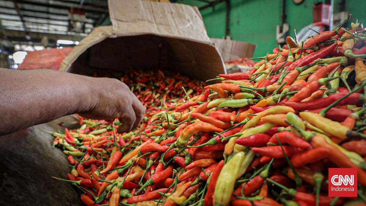 Kenaikan Harga Cabai Rawit Merah Mendekati Rp100 Ribu per Kg