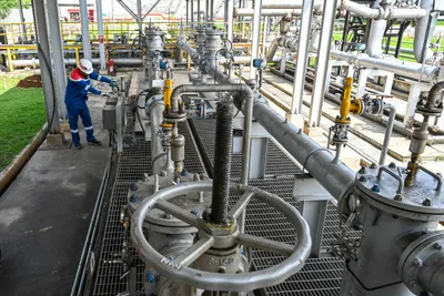 Dukungan Terhadap Impor Energi dari Rusia untuk Mengurangi Ketergantungan Energi Nasional