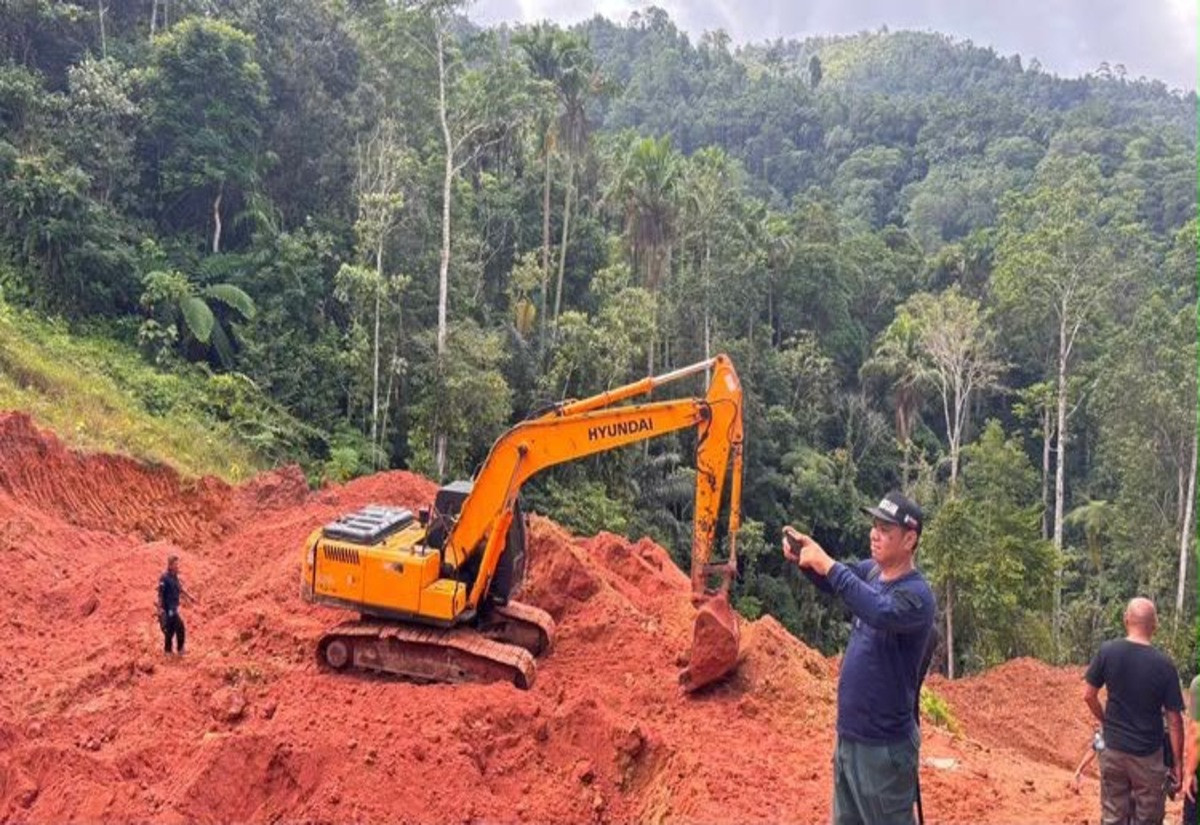Kementerian Kehutanan Tindak Tegas Pertambangan Emas Ilegal di Bolaang Mongondow