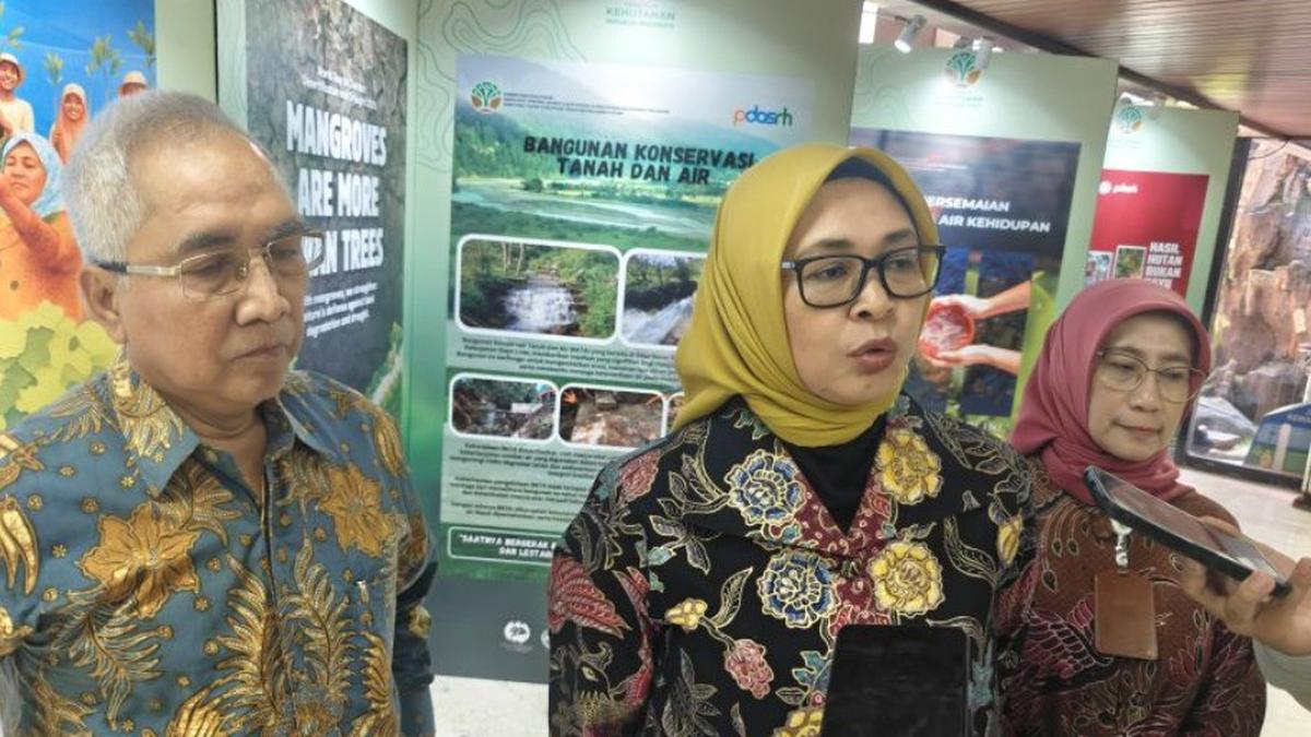 Kementerian Kehutanan Targetkan Pemulihan Lahan Kritis Seluas 12,3 Juta Hektare hingga 2030