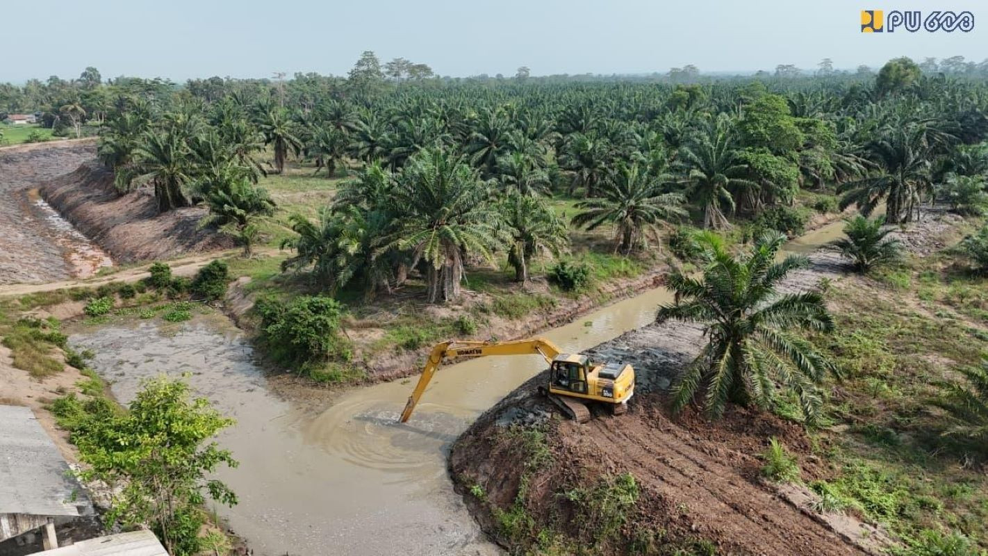 Kementerian Pekerjaan Umum Tanggulangi 8.000 Hektare Sawah Terancam Gagal Panen di Lampung