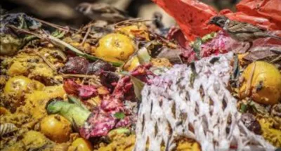 Menghadapi Lonjakan Sampah Makanan pada Lebaran: Perlu Perubahan dalam Budaya Konsumsi