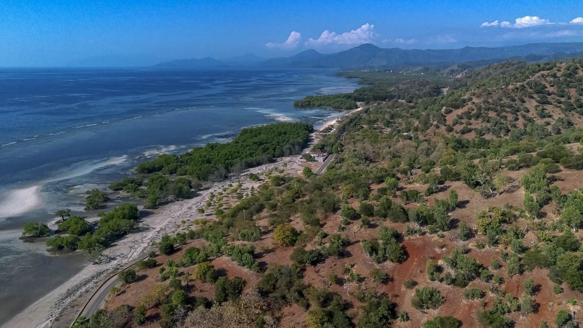 Kawasan Konservasi Laut Belu di NTT Resmi Ditetapkan Seluas 12.326 Ha