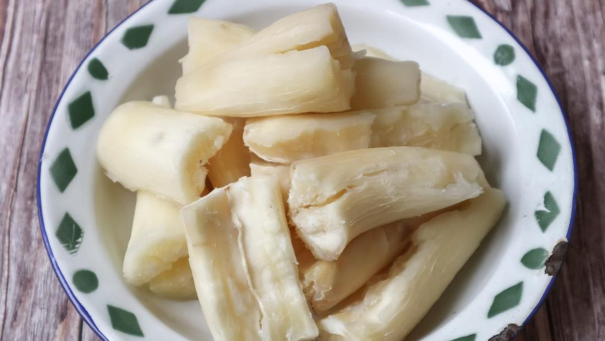 Pemerintah Hentikan Impor Singkong, Harga Petani Meroket Menjadi Rp3 Ribu per Kilogram