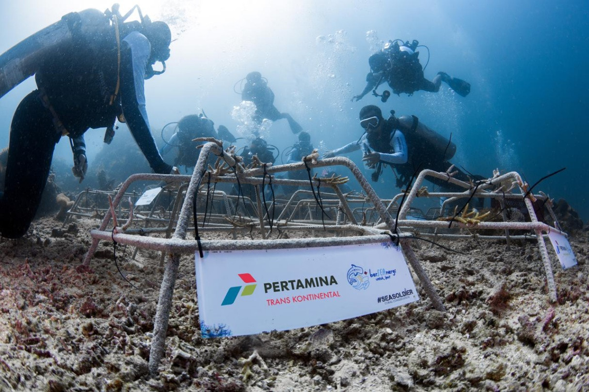 Pertamina Trans Kontinental Lakukan Penanaman Ratusan Terumbu Karang di Sulawesi Utara