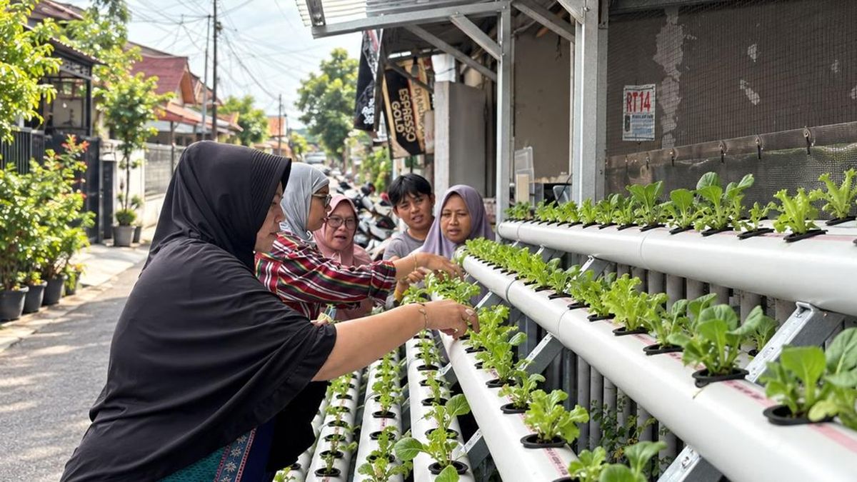 Program Agro Urban Madani oleh PNM. (Foto: Arsip PNM)