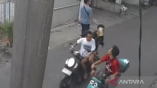 ---
Pria di Cengkareng Diduga Disiram Air Keras, Ciri-ciri Pelaku Terungkap

---