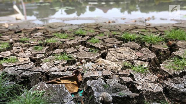 Waspadai! Musim Kemarau 2026 Diprediksi Tiba Lebih Awal, Puncaknya di Bulan Agustus