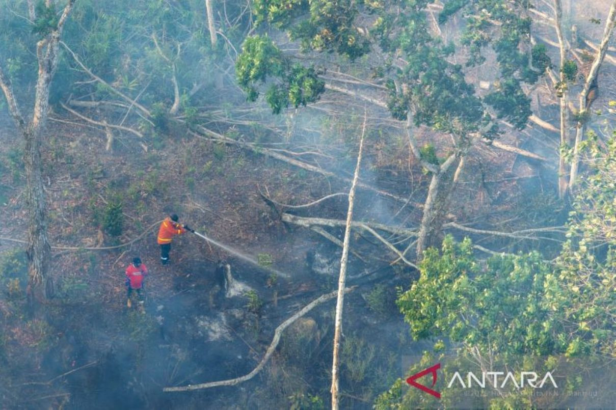 WALHI Mendorong Penegakan Hukum Terhadap Korporasi Terkait Kebakaran Hutan