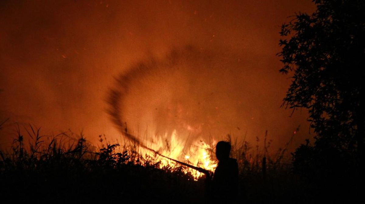Kebakaran Hutan di Kalimantan Tengah Meluas, Lahan Terbakar Mencapai 100 Ribu Hektare
